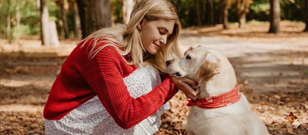 slider image slider_item_1